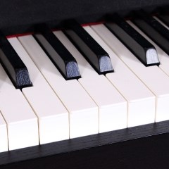 卡西欧电钢琴PX-760成人专业88键重锤智能数码电子钢琴px760升级