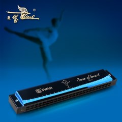 口琴天鹅24孔复音c调口琴初学者儿童入门学生教学练习成人乐器