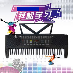 爱尔科61键标准钢琴键电子琴 智能教学型儿童成人初学电子琴 2177