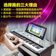 爱尔科智能电子琴 成人61键初学者 儿童教学仿钢琴键可连接APP177