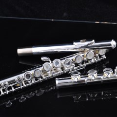 长笛 美德威乐器 17开闭孔镀银长笛 210C闭孔初学
