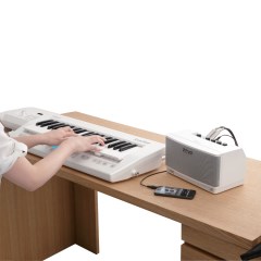 罗兰 Roland CUBE Lite MONITOR 监听音箱