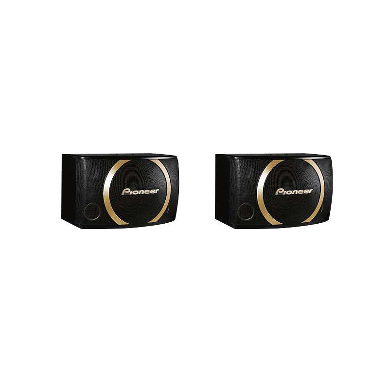 Pioneer/先锋CS-Y100 Y系列专业卡拉OK音箱 家用音箱