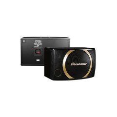 Pioneer/先锋CS-Y100 Y系列专业卡拉OK音箱 家用音箱