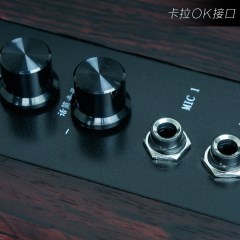 Sansui/山水 GS-6000（88B）蓝牙台式音箱卡拉OK音响电视重低音炮