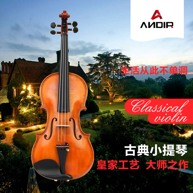 ANDIR小提琴初学考级演奏儿童小提琴手工实木虎纹雕花演奏小提琴