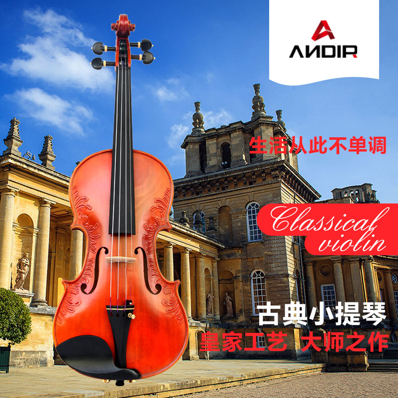 ANDIR小提琴初学考级演奏儿童小提琴雕花实木