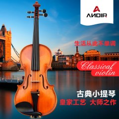 ANDIR小提琴初学考级演奏儿童小提琴手工实木虎纹雕花实木欧版