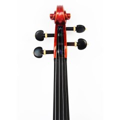 ANDIR小提琴初学考级演奏儿童小提琴雕花实木