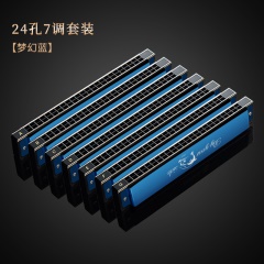 天鹅24孔7调复音口琴专业演奏套装全套演奏初学ABCDEFG#7调套装