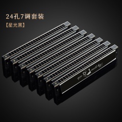 天鹅24孔7调复音口琴专业演奏套装全套演奏初学ABCDEFG#7调套装